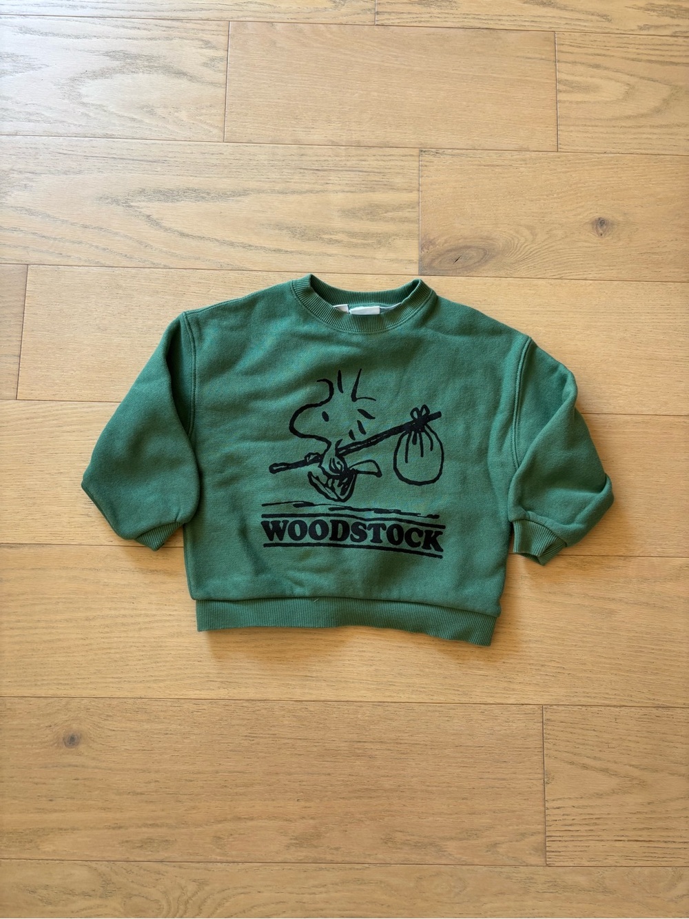 Zara kid green snoopy Woodstock print sweatshirt. Size 4Y